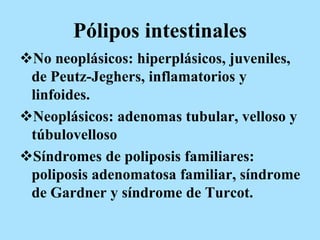 Pólipos intestinales
No neoplásicos: hiperplásicos, juveniles,
de Peutz-Jeghers, inflamatorios y
linfoides.
Neoplásicos: adenomas tubular, velloso y
túbulovelloso
Síndromes de poliposis familiares:
poliposis adenomatosa familiar, síndrome
de Gardner y síndrome de Turcot.
 