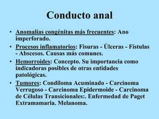 Conducto anal
• Anomalías congénitas más frecuentes: Ano
imperforado.
• Procesos inflamatorios: Fisuras - Úlceras - Fístulas
- Abscesos. Causas más comunes.
• Hemorroides: Concepto. Su importancia como
indicadoras posibles de otras entidades
patológicas.
• Tumores: Condiloma Acuminado - Carcinoma
Verrugoso - Carcinoma Epidermoide - Carcinoma
de Células Transicionales:. Enfermedad de Paget
Extramamaria. Melanoma.
 