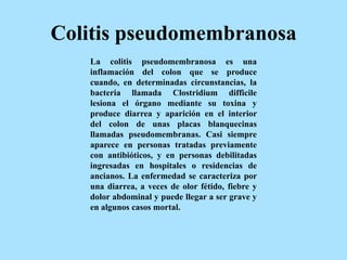 Colitis pseudomembranosa
La colitis pseudomembranosa es una
inflamación del colon que se produce
cuando, en determinadas circunstancias, la
bacteria llamada Clostridium difficile
lesiona el órgano mediante su toxina y
produce diarrea y aparición en el interior
del colon de unas placas blanquecinas
llamadas pseudomembranas. Casi siempre
aparece en personas tratadas previamente
con antibióticos, y en personas debilitadas
ingresadas en hospitales o residencias de
ancianos. La enfermedad se caracteriza por
una diarrea, a veces de olor fétido, fiebre y
dolor abdominal y puede llegar a ser grave y
en algunos casos mortal.
 