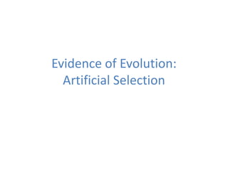 Evidence of Evolution:
  Artificial Selection
 