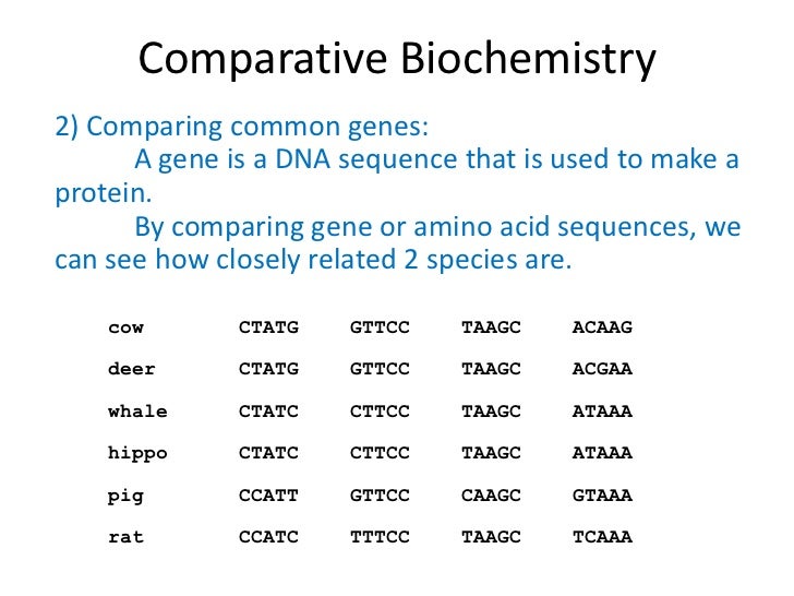 compare two amino acid sequences