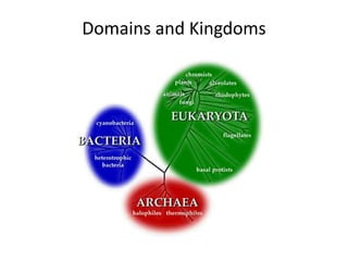 Domains and Kingdoms
 