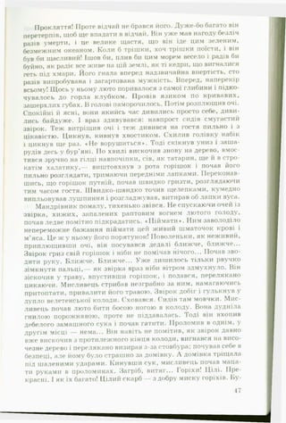 Прокляття! Проте відчай не брався його. Дуже-бо багато він
перетерпів, щоб ще впадати в відчай. Він уже мав нагоду безліч
разів умерти, і це велике щастя, що він іде цим зеленим,
безмежним океаном. Коли б трішки, хоч трішки поїсти, і він
був би щасливий! Ішов би, плив би цим морем весело і радів би
буйно, як радіє все живе на цій землі, як ті кедри, що вигналися
геть під хмари. Його гнала вперед надзвичайна впертість, сто
разів випробувана і загартована мужність. Вперед, наперекір
всьому! Щось у ньому люто поривалося з самої глибини і підко­
чувалось до горла клубком. Провів язиком по кривавих,
зашерхлих губах. В голові наморочилось. Потім розплющив очі.
Спокійні й ясні, вони якийсь час дивились просто себе, диви­
лись байдуже. І враз здивувався: навпрост сидів смугастий
звірок. Теж витріщив очі і теж дивився на гостя пильно і з
цікавістю. Цикнув, кивнув хвостиком. Схилив голівку набік
і цикнув ще раз. «Н е ворушиться«. Тоді скікнув униз і заша­
рудів десь у бур’яні. По хвилі вискочив знову на дерево, вмос­
тився зручно на гілці навпочіпки, сів, як татарин, ще й в стро­
катім халатику,— виштовхнув з рота горішок і почав його
пильно розглядати, тримаючи передніми лапками. Переконав­
шись, що горішок путній, почав швидко гризти, розглядаючи
тим часом гостя. Швидко-швидко точив щелепками, кумедно
випльовував лушпиння і розгладжував, витирав об лапки вуса.
Мандрівник помалу, тихенько звівся. Не спускаючи очей із
звірка, хижих, запалених раптовим вогнем лютого голоду,
почав ледве помітно підкрадатись. «Піймати«. Ним заволоділо
непереможне бажання піймати цей живий шматочок крові і
м’яса. Це ж у ньому його порятунок! Поволеньки, як неживий,
приплющивши очі, він посувався дедалі ближче, ближче...
Звірок гриз свій горішок і ніби не помічав нічого... Почав зво­
дити руку. Ближче. Ближче... Уж е лишилось тільки рвучко
зімкнути пальці,— як звірка враз ніби вітром здмухнуло. Він
зіскочив у траву, впустивши горішок, і подався, перелякано
цикаючи. Мисливець стрибав незграбно за ним, намагаючись
притоптати, привалити його травою. Звірок добіг і гулькнув у
дупло велетенської колоди. Сховався. Сидів там мовчки. Мис­
ливець почав люто бити босою ногою в колоду. Вона дудніла
гнилою порожнявою, проте не піддавалась. Тоді він вхопив
дебелого замашного сука і почав гатити. Проломив в однім, у
другім місці — нема... Він навіть не помітив, як звірок давно
вже вискочив з протилежного кінця колоди, вигнався на висо­
чезне дерево і перелякано визирав з-за стовбура; почував себе в
безпеці, але йому було страшно за домівку. Л домівка тріщала
під шаленими ударами. Кинувши сук, мисливець почав маца­
ти руками в проломинах. Загріб, витяг... Горіхи! Цілі. Пре­
красні. І як їх багато! Цілий скарб — з добру миску горіхів. Б у ­
- 47
 