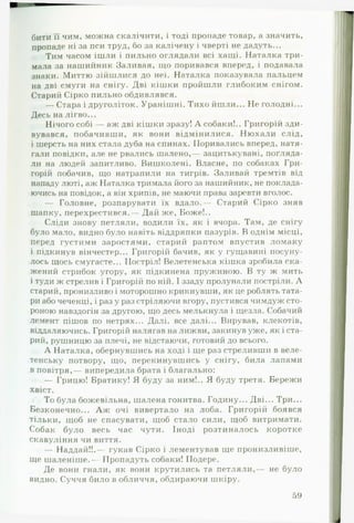 бити її чим, можна скалічити, і тоді пропаде товар, а значить,
пропаде ні за пси труд, бо за калічену і чверті не дадуть...
Тим часом ішли і пильно оглядали всі хащі. Наталка три­
мала за нашийник Заливая, що поривався вперед, і подавала
знаки. Миттю зійшлися до неї. Наталка показувала пальцем
на дві смуги на снігу. Дві кішки пройшли глибоким снігом.
Старий Сірко пильно обдивлявся.
— Стара і друголіток. Уранішні. Тихо йшли... Не голодні...
Десь на лігво...
Нічого собі — аж дві кішки зразу! А собаки!.. Григорій зди­
вувався, побачивши, як вони відмінилися. Ню хали слід,
і шерсть на них стала дуба на спинах. Поривались вперед, натя­
гали повідки, але не рвались шалено,— зацитькувані, погляда­
ли на людей запитливо. Вишколені. Власне, по собаках Гри­
горій побачив, що натрапили на тигрів. Заливай тремтів від
нападу люті, аж Наталка тримала його за нашийник, не поклада-
ючись на повідок, а він хрипів, не маючи права заревти вголос.
— Головне, розпарувати їх вдало.— Старий Сірко зняв
шапку, перехрестився.— Дай же, Боже!..
Сліди знову петляли, водили їх, як і вчора. Там, де снігу
було мало, видно було навіть віддряпки пазурів. В однім місці,
перед густими заростями, старий раптом впустив ломаку
і підкинув вінчестер... Григорій бачив, як у гущавині посуну­
лось щось смугасте... Постріл! Велетенська кішка зробила ска­
жений стрибок угору, як підкинена пружиною. В ту ж мить
і туди ж стрелив і Григорій по ній. І ззаду пролунали постріли. А
старий, пронизливо і моторошно крикнувши, як це роблять тата­
ри або чеченці, і раз у раз стріляючи вгору, пустився чимдуж сто­
роною навздогін за другою, що десь мелькнула і щезла. Собачий
лемент пішов по нетрях... Даті, все далі... Вирував, клекотів,
віддаляючись. Григорій налягав на лижви, закинув уже, як і ста­
рий, рушницю за плечі, не відстаючи, готовий до всього.
А Наталка, обернувшись на ході і ще раз стреливши в веле­
тенську потвору, що, перекинувшись у снігу, била лапами
в повітря,— випередила брата і благально:
— Грицю! Братику! Я буду за ним!.. Я буду третя. Бережи
хвіст.
То була божевільна, шалена гонитва. Годину... Дві... Три...
Безконечно... А ж очі вивертало на лоба. Григорій боявся
тільки, щоб не спасувати, щоб стало сили, щоб витримати.
Собак було весь час чути. Іноді розтиналось коротке
скавуління чи виття.
— Наддай!!.— гукав Сірко і лементував ще пронизливіше,
ще шаленіше.— Пропадуть собаки! Подере.
Де вони гнали, як вони крутились та петляли,— не було
видно. Суччя било в обличчя, обдираючи шкіру.
59
 