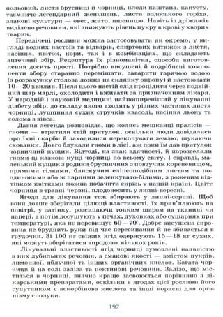 польовий, листя брусниці й чорниці, плоди каштана, капусту,
таємничо-легендарний женьшень, листя волоського горіха,
злакові культури — овес, жито, пшеницю. Навіть із дріжджів
виділено речовини, які знижують рівень цукру в крові у хворих
тварин.
Перелічені рослини можна застосовувати як окремо, у ви-
гляді водних настоїв та відварів, спиртових витяжок з листя,
насіння, квіток, кори, так і в комбінаціях, що складають
аптечний збір. Рецептура їх різноманітна, способи виготов-
лення досить прості. Потрібно висушені й подрібнені компо-
ненти збору старанно перемішати, заварити гарячою водою
(з розрахунку столова ложка на склянку окропу) й настоювати
10—20 хвилин. Після цього настій слід процідити через подвій-
ний шар марлі, охолодити і вживати за призначенням лікаря.
У народній і науковій медицині найпоширеніший у лікуванні
діабету збір, до складу якого входять у різних частинах листя
чорниці, лушпиння сухих стручків квасолі, насіння льону та
солома з вівса.
Давня легенда розповідає, що колись мешканці пралісів —
гноми — втратили свій притулок, оскільки люди довідалися
про їхні скарби й заходилися перекопувати землю, шукаючи
схованки. Довго блукали гноми в лісі, аж поки їм дав притулок
чорничний кущик. Відтоді, на знак вдячності, й порозселяли
гноми ці казкові кущі чорниці по всьому світу. І справді, ма-
ленький кущик з родини брусничних з повзучим кореневищем,
прямими гілками, блискучим еліпсоподібним листям та по-
одинокими або ж парними зеленкувато-білими, з рожевим від-
тінком квітками можна побачити скрізь у нашій країні. Цвіте
чорниця в травні-червні, плодоносить у липні-вересні.
Ягоди для лікування теж збирають у липні-серпні. Щ о б
вони довше зберігали цілющі властивості, їх прив'ялюють на
повітрі, у затінку, розсипаючи тонким шаром на тканині чи
папері, а потім досушують у печах, духовках або сушарнях при
температурі, яка не перевищує 60 — 70 . Добре висушена сиро-
вина не бруднить руки під час пересипання й не збивається в
грудочки. Зі 100 кг свіжих ягід одержують 15 —18 кг сухих,
які можуть зберігатися впродовж кількох років.
Лікувальні властивості ягід чорниці зумовлені наявністю
в них дубильних речовин, а смакові якості — вмістом цукрів,
лимонної, яблучної та інших органічних кислот. Багата чор-
ниця й на солі заліза та пектинові речовини. Залізо, що міс-
титься в чорниці, значно краще засвоюється порівняно з лі-
карськими препаратами, оскільки в ягодах цієї рослини його
супутником є аскорбінова кислота та інші корисні для орга-
нізму сполуки.
197
 