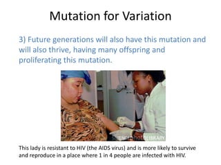 Mutation for Variation
3) Future generations will also have this mutation and
will also thrive, having many offspring and
proliferating this mutation.




This lady is resistant to HIV (the AIDS virus) and is more likely to survive
and reproduce in a place where 1 in 4 people are infected with HIV.
 
