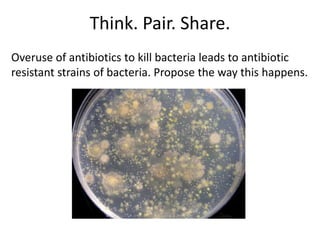 Think. Pair. Share.
Overuse of antibiotics to kill bacteria leads to antibiotic
resistant strains of bacteria. Propose the way this happens.
 