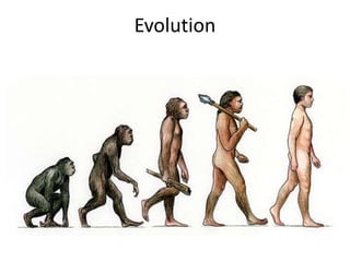 Evolution
 