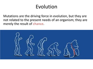 Evolution
Mutations are the driving force in evolution, but they are
not related to the present needs of an organism; they are
merely the result of chance.
 