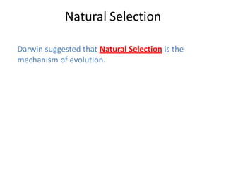 Natural Selection

Darwin suggested that Natural Selection is the
mechanism of evolution.
 