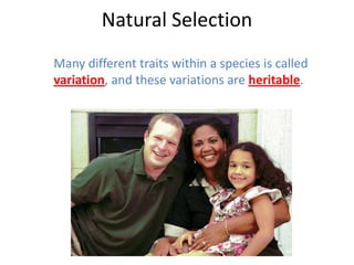 Natural Selection
Many different traits within a species is called
variation, and these variations are heritable.
 
