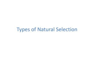Types of Natural Selection
 