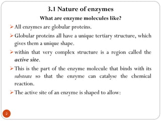 Comprehensive Overview of Enzyme Structure, Function, and ...