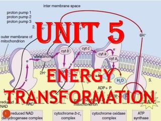 ENERGY
TRANSFORMATION
1
 