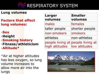RESPIRATORY SYSTEM ,[object Object],[object Object],[object Object],[object Object],[object Object],[object Object],[object Object],[object Object],Larger volumes Smaller volumes males females taller people shorter people non-smokers smokers athletes non-athletes people living at high altitudes people living at low altitudes 