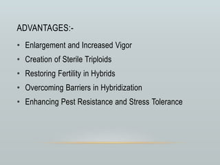 ADVANTAGES:-
• Enlargement and Increased Vigor
• Creation of Sterile Triploids
• Restoring Fertility in Hybrids
• Overcoming Barriers in Hybridization
• Enhancing Pest Resistance and Stress Tolerance
 