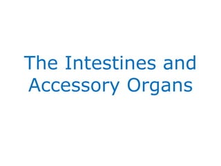 The Intestines and Accessory Organs 