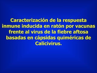 Caracterización de la respuesta
inmune inducida en ratón por vacunas
frente al virus de la fiebre aftosa
basadas en cápsidas quiméricas de
Calicivirus.
 