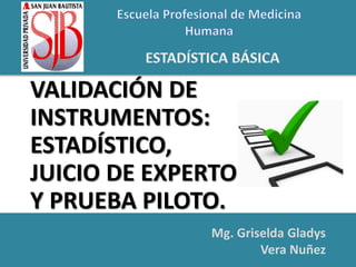 Mg. Griselda Gladys
Vera Nuñez
VALIDACIÓN DE
INSTRUMENTOS:
ESTADÍSTICO,
JUICIO DE EXPERTO
Y PRUEBA PILOTO.
 