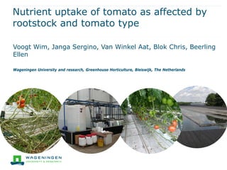 Nutrient uptake of tomato as affected by
rootstock and tomato type
Voogt Wim, Janga Sergino, Van Winkel Aat, Blok Chris, Beerling
Ellen
Wageningen University and research, Greenhouse Horticulture, Bleiswijk, The Netherlands
 