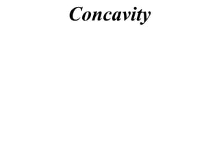 Concavity
 