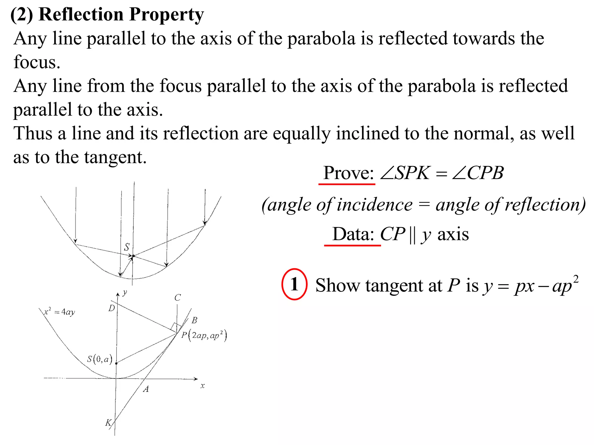 (2) Reflection Property
Any line parallel to the axis of the parabola is reflected towards the
focus.
Any line from the focus parallel to the axis of the parabola is reflected
parallel to the axis.
Thus a line and its reflection are equally inclined to the normal, as well
as to the tangent.
                                         Prove: SPK  CPB
                                (angle of incidence = angle of reflection)
                                         Data: CP || y axis

                                    1 Show tangent at P is y  px  ap 2
 