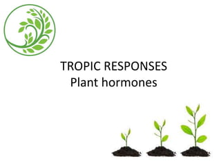TROPIC RESPONSES
Plant hormones
 