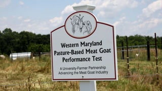 Western Maryland
Pasture Based Meat
Goat Performance Test
2006-2016
 