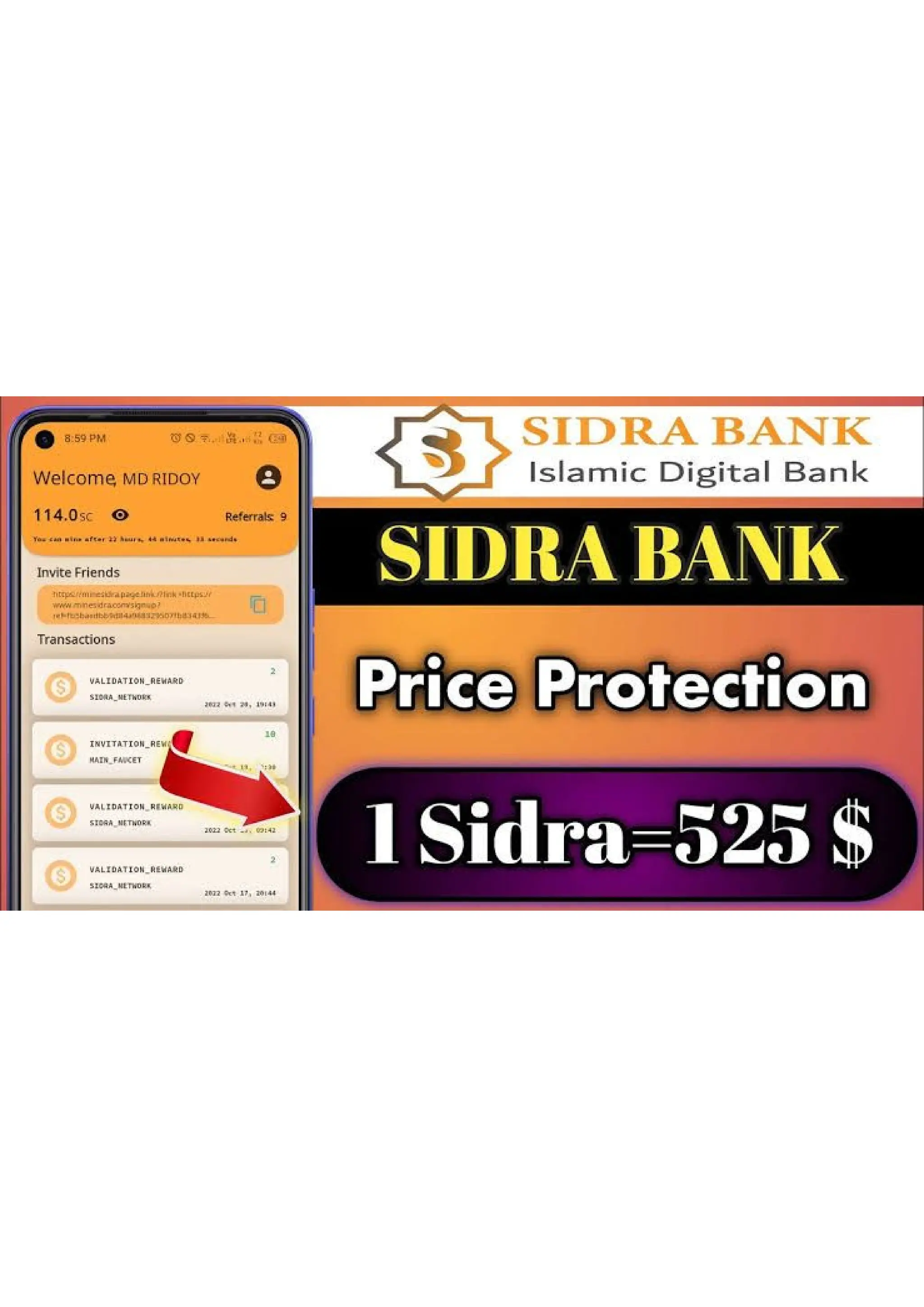 How Much Can I Sell My Sidra Bank Tokens Today! | PDF