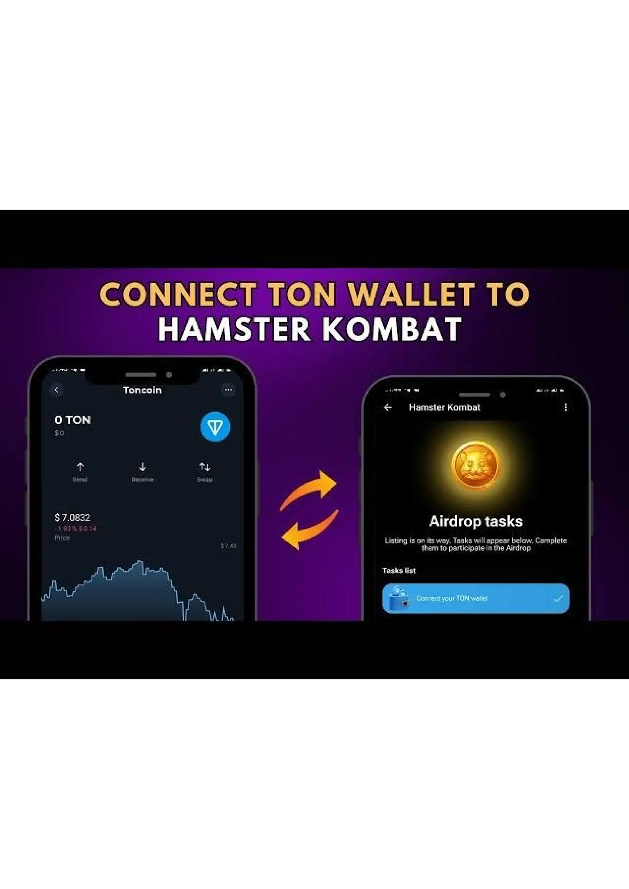 how to successfully withdraw hamster tokens to TON - WALLET | PDF