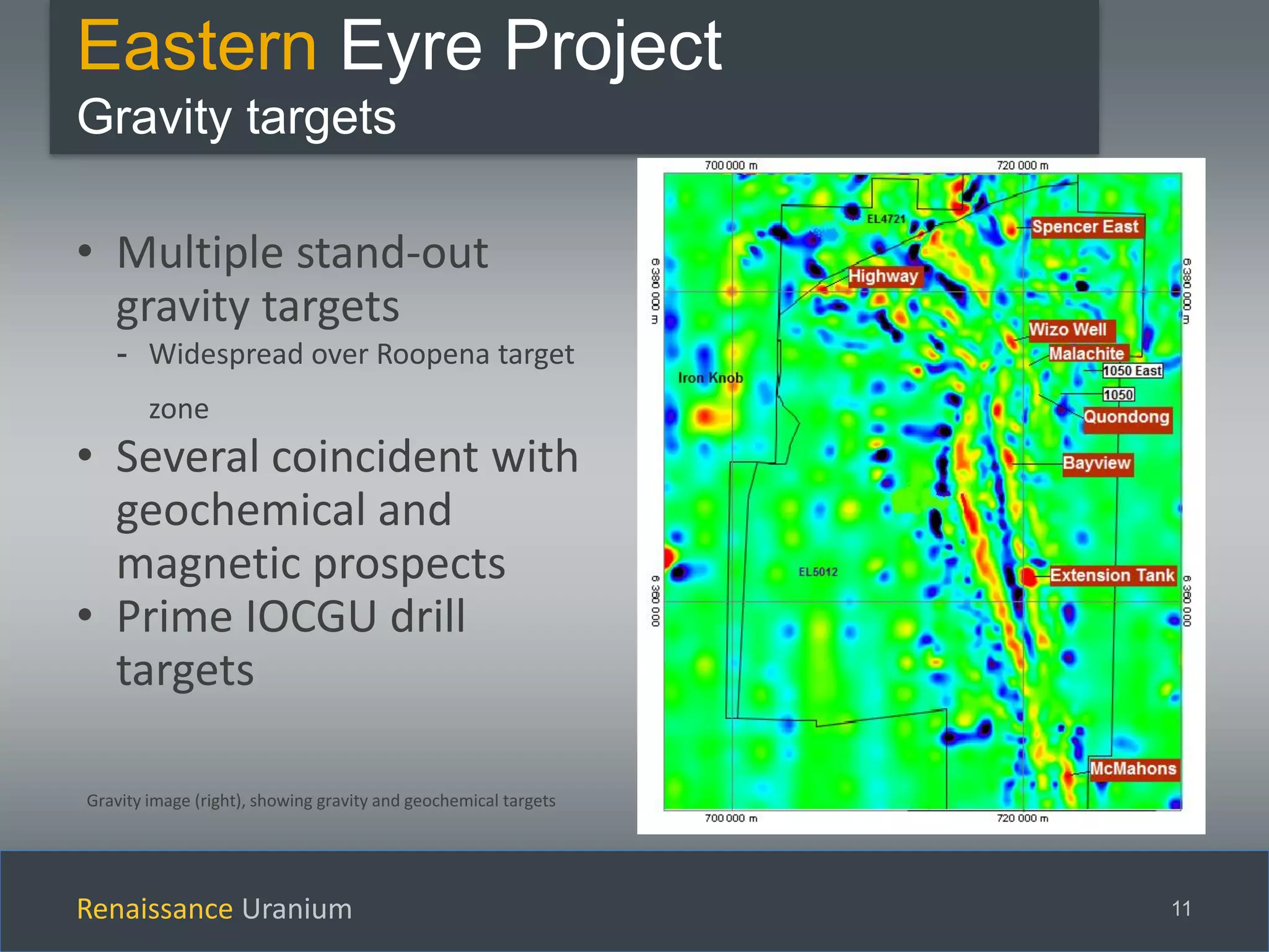 Renaissance Uranium 11
Eastern Eyre Project
Gravity targets
Gravity image (right), showing gravity and geochemical targets
• Multiple stand-out
gravity targets
- Widespread over Roopena target
zone
• Several coincident with
geochemical and
magnetic prospects
• Prime IOCGU drill
targets
 