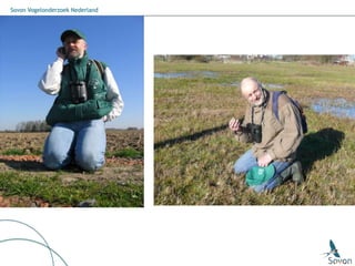 Sovon Vogelonderzoek Nederland
 
