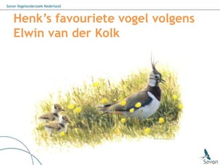 Sovon Vogelonderzoek Nederland



   Henk’s favouriete vogel volgens
   Elwin van der Kolk
 