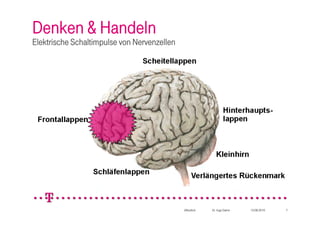 Denken & Handeln
Elektrische Schaltimpulse von Nervenzellen




                                             öffentlich   Dr. Ingo Dahm   10.08.2010   7
 