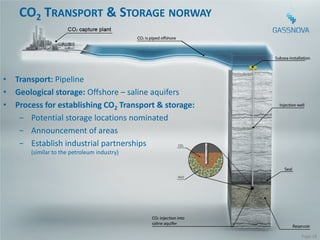 CO2 TRANSPORT & STORAGE NORWAY



• Transport: Pipeline
• Geological storage: Offshore – saline aquifers
• Process for establishing CO2 Transport & storage:
   − Potential storage locations nominated
   − Announcement of areas
   − Establish industrial partnerships
       (similar to the petroleum industry)




                                                      Page 18
 