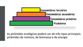 As pirâmides ecológicas podem ser de três tipos principais:
pirâmides de número, de biomassa e de energia
 