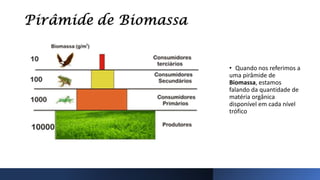 • Quando nos referimos a
uma pirâmide de
Biomassa, estamos
falando da quantidade de
matéria orgânica
disponível em cada nível
trófico
 