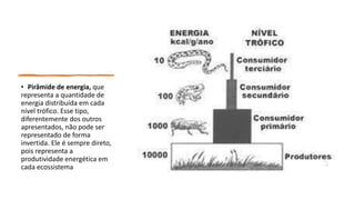 • Pirâmide de energia, que
representa a quantidade de
energia distribuída em cada
nível trófico. Esse tipo,
diferentemente dos outros
apresentados, não pode ser
representado de forma
invertida. Ele é sempre direto,
pois representa a
produtividade energética em
cada ecossistema
 