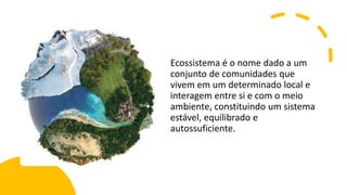 Ecossistema é o nome dado a um
conjunto de comunidades que
vivem em um determinado local e
interagem entre si e com o meio
ambiente, constituindo um sistema
estável, equilibrado e
autossuficiente.
 