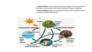 • Fatores bióticos: seres produtores (plantas e algas), seres consumidores
(herbívoros e carnívoros) e seres decompositores (fungos e bactérias).
• Fatores abióticos: água, luz (energia luminosa), calor (energia térmica) e
nutrientes (substâncias químicas).
 