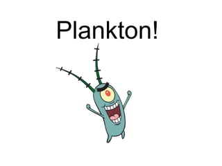 Plankton! 