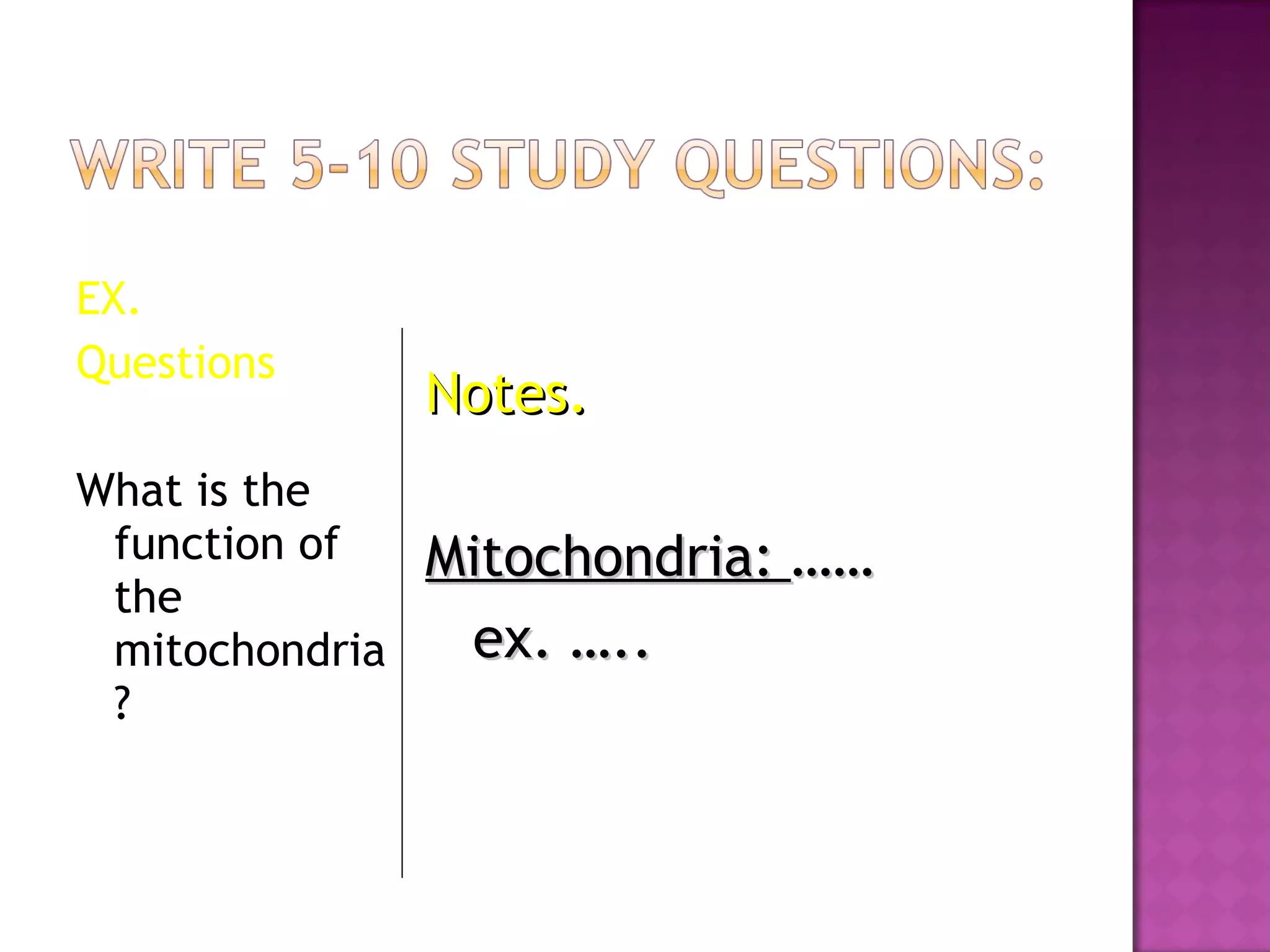 EX. Questions What is the function of the mitochondria? Notes. Mitochondria:  …… ex. …..  