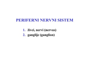 PERIFERNI NERVNI SISTEM
1. živci, nervi (nervus)
2. ganglije (ganglion)
 
