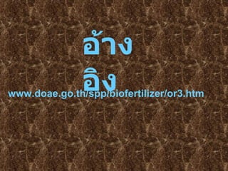 www . doae . go . th / spp / biofertilizer / or3 . htm อ้างอิง 