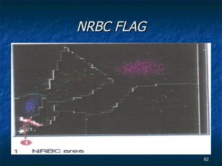NRBC FLAG 