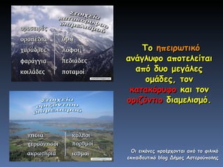 Το  ηπειρωτικό  ανάγλυφο αποτελείται από δυο μεγάλες ομάδες, τον  κατακόρυφο  και τον  οριζόντιο  διαμελισμό. Οι εικόνες προέρχονται από το φιλικό εκπαιδευτικό  blog  Δήμος Αστερούπολης 