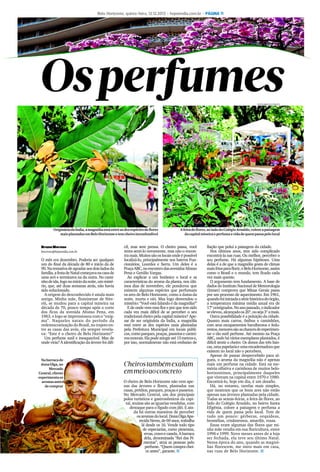 Belo Horizonte, quinta-feira, 12.12.2013 - hojeemdia.com.br - PÁGINA 11

Osperfumes
FOTOS MARCELO PRATES

Originária da Índia, a magnólia está entre as dez espécies de flores
mais plantadas em Belo Horizonte e tem cheiro inconfundível

BrunoMoreno
bmoreno@hojeemdia.com.br

O mês era dezembro. Poderia ser qualquer
um do final da década de 80 e início da de
90. Na tentativa de agradar aos dois lados da
família, a festa de Natal começava na casa de
uma avó e terminava na da outra. No caminho de ida, logo no início da noite, um mistério, que, até duas semanas atrás, não havia
sido solucionado.
A origem do desconhecido é ainda mais
antiga. Minha mãe, fluminense de Niterói, se mudou para a capital mineira na
década de 70, pouco tempo após o corte
dos fícus da avenida Afonso Pena, em
1963, e logo se impressionou com o “enigma”. Naqueles natais do período da
redemocratização do Brasil, no trajeto entre as casas das avós, ela sempre revelava: “Este é o cheiro de Belo Horizonte!”
Um perfume sutil e inesquecível. Mas de
onde viria? A identificação da árvore foi difí-

Na barraca de
dona Olga, no
Mercado
Central, cliente
experimenta os
aromas antes
de comprar

A feira de flores, ao lado do Colégio Arnaldo, colore a paisagem
da capital mineira e perfuma a vida de quem passa pelo local

cil, mas sem pressa. O cheiro passa, você
tenta senti-lo novamente, mas não o encontra mais. Muitos são os locais onde é possível
localizá-lo, principalmente nos bairros Funcionários, Lourdes e Serra. Um deles é a
Praça ABC, no encontro das avenidas Afonso
Pena e Getúlio Vargas.
Ao explicar a um botânico o local e as
características do aroma da planta, nos últimos dias de novembro, ele ponderou que
existem algumas espécies que perfumam
os ares de Belo Horizonte, como a dama da
noite, murta e oiti. Mas logo desvendou o
mistério: “Você está falando é da magnólia!”
E de onde vem essa flor e por que tem sido
cada vez mais difícil de se perceber o seu
tradicional cheiro pela capital mineira? Apesar de ser originária da Índia, a magnólia
está entre as dez espécies mais plantadas
pela Prefeitura Municipal em locais públicos, como parques, praças, passeios e canteiros centrais. Ela pode atingir até 15 metros e,
por isso, normalmente não está embaixo de

Cheirostambém exalam
emmeioao concreto
O cheiro de Belo Horizonte não vem apenas das árvores e flores, plantadas nas
casas, prédios, parques, praças e passeios.
No Mercado Central, um dos principais
polos turísticos e gastronômicos da capital, muitas são as iguarias vendidas, com
destaque para o fígado com jiló. E ainda há outras maneiras de perceber
os aromas do local. Dona Olga Aparecida Neves, de 69 anos, trabalha
lá desde os 16. Vende todo tipo
de especiarias, como pimentas,
ervas, cravo e canela. A barraca
dela, denominada “Rei das Pimentas”, atrai as pessoas pelo
perfume. “Quem compra cheira antes”, garante. q

fiação que polui a paisagem da cidade.
Nos últimos anos, tem sido complicado
encontrá-la nas ruas. Ou melhor, perceber o
seu perfume. Há algumas hipóteses. Uma
delas é a de que a magnólia gosta de climas
mais frios para florir, e Belo Horizonte, assim
como o Brasil e o mundo, tem ficado cada
vez mais quente.
O argumento tem fundamento. A base de
dados do Instituto Nacional de Meteorologia
(Inmet) comprova que Minas Gerais passa
por um processo de aquecimento. Em 1961,
quando foi iniciada a série histórica do órgão,
a temperatura mínima média anual era de
17º centígrados. No ano passado, o indicador
se elevou, alcançado os 20º, ou seja 3º a mais.
Outra possibilidade é a poluição da cidade.
Quanto mais carros, ônibus e caminhões,
com seus escapamentos barulhentos e fedorentos, menores são as chances de experimentar o tão sutil perfume. Até mesmo na Praça
ABC, onde há vários exemplares plantados, é
difícil sentir o cheiro. Os donos das três bancas, uma papelaria e uma encadernadora que
existem no local não o percebem.
Apesar de passar despercebido para alguns, o aroma da magnólia não é apenas
mais um perfume na cidade. Está na memória olfativa e carinhosa de muitos belohorizontinos, principalmente daqueles
que viveram na capital entre 1970 e 1980.
Encontrá-lo, hoje em dia, é um desafio.
Há, no entanto, tarefas mais simples,
que mostram que os bons ares não estão
apenas nas árvores plantadas pela cidade.
Todas as sextas-feiras, a feira de flores, ao
lado do Colégio Arnaldo, no bairro Santa
Efigênia, colore a paisagem e perfuma a
vida de quem passa pelo local. Tem de
tudo um pouco: gérberas, orquídeas,
bromélias, crisântemos, amarílis, rosas.
Essas eram algumas das flores que minha mãe vendia em sua floricultura, entre
1996 e 1999. Nove meses antes de a loja
ser fechada, ela teve seu último Natal.
Nessa época do ano, quando as magnólias florescem, me sinto mais em casa,
nas ruas de Belo Horizonte. q

 