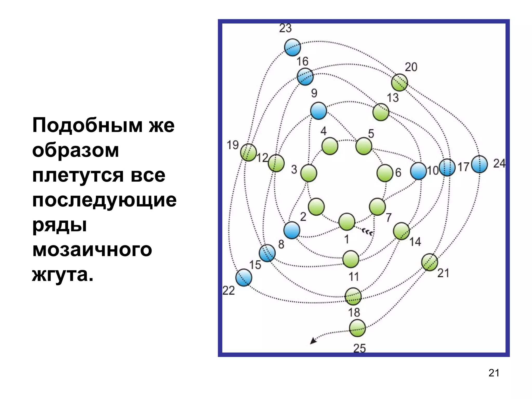 Подобным же
образом
плетутся все
последующие
ряды
мозаичного
жгута.



               21
 
