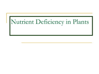 Nutrient Deficiency in Plants
 