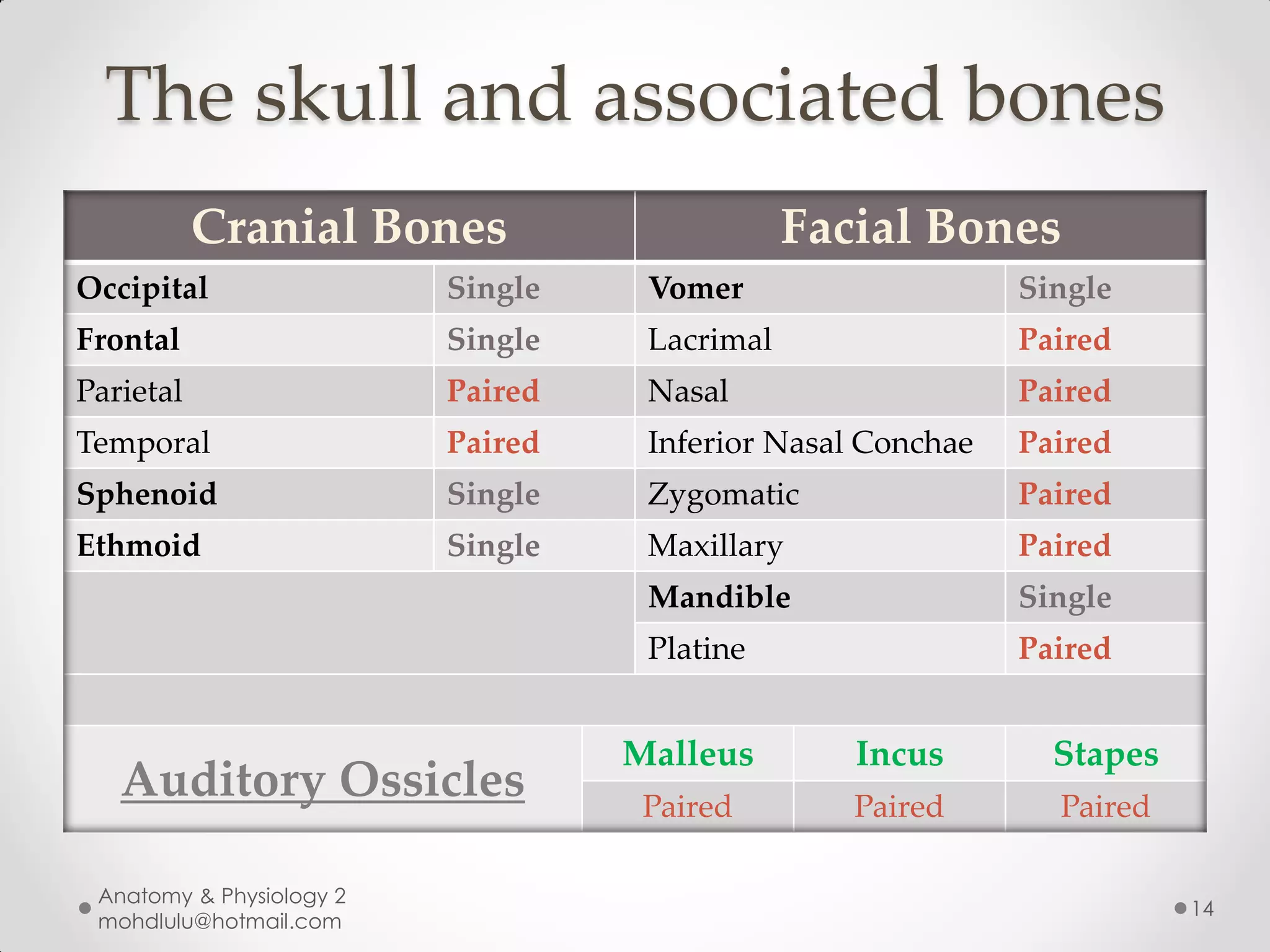 The skull and associated bones
           Cranial Bones                       Facial Bones
Occipital                 Single    Vomer                    Single
Frontal                   Single    Lacrimal                 Paired
Parietal                  Paired    Nasal                    Paired
Temporal                  Paired    Inferior Nasal Conchae   Paired
Sphenoid                  Single    Zygomatic                Paired
Ethmoid                   Single    Maxillary                Paired
                                    Mandible                 Single
                                    Platine                  Paired


                                   Malleus        Incus        Stapes
   Auditory Ossicles                Paired        Paired       Paired

 Anatomy & Physiology 2
                                                                        14
 mohdlulu@hotmail.com
 